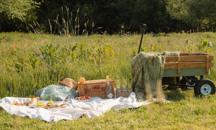Pinic in the meadow - Luxury Glamping Cabins with Hot Tubs, Brecon Beacons
